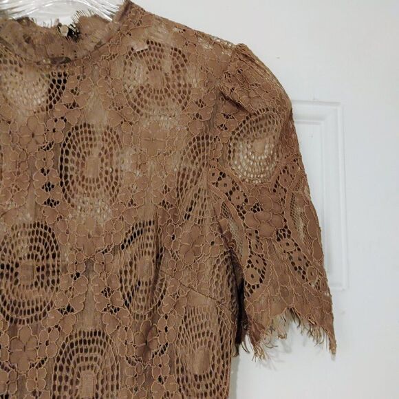 L'atiste Dress Victorian Lace Romantic Stretchy Sheer Panels Brown Mauve Tan S - Picture 9 of 14